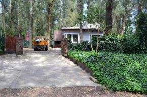 Casa Bosque